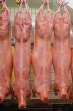 Pork Carcass