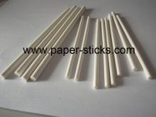  cake  pop stick paper stick