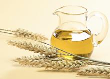 Wheat Germ Oil in Bulk Natural Oil
