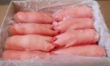 Frozen Pork Back Feet