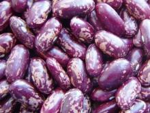 Purple speckled kidney beans
