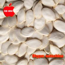 pumpkin seeds