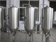 100L Beer Brewery Equipment Fermentation system