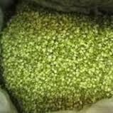 GREEN BEAN HUSK WITH GOOD PRICE