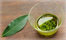 Natural Laurel Leaf Oil (Daphne Oil) in Bulk Wholesale GMP Certified