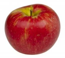 Apple Seed Oil in Bulk Wholesale nature elements essential oils