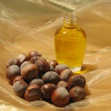 Hazelnut Oil in Bulk Wholesale Natural Oil