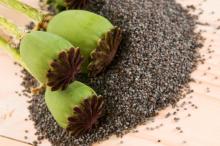 Poppy Seed Oil in Bulk Natural Wholesale Herbal Essential Oil