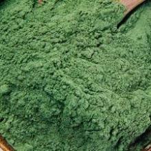 Freeze Dried Spinach Powder FD Vegetable Made By Manufacturer