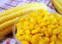 corn gluten meal