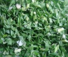  FD   Shallot  Granules Freeze Dried  Shallot 