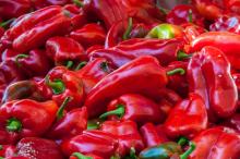 Paprika Oil in Bulk Wholesale Natural Herbal Essential Oil