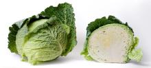 Cabbage Oil in Bulk Wholesale oil of cabbage Royal Essential Oil