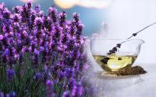 Lavender Oil in Bulk Wholesale Natural Just Essential Oil