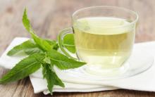 Natural Peppermint Oil in Bulk Wholesale