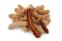  Tamarind  Finger