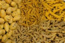  Turmeric  Finger