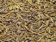 cumin seed