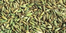 Fennel Seed Oil in Bulk Wholesale Natural Oil