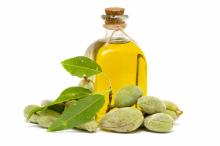 Sweet Almond Oil in  Bulk  Wholesale almond oil price Royal Natural Oil