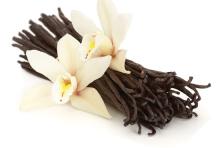 Vanilla Oil in Bulk Wholesale Vanilla essential oil natures magic oil
