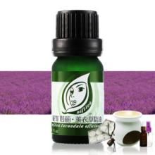 Guangzhou Wholesale OEM Lavender Essential Oil