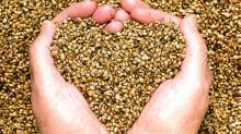 Hem Seeds