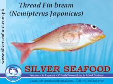 ThreadFin Bream (Nemipterus Japonicus)