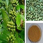 Green Coffee Bean Extract