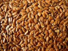 Flax Seeds / Linseeds