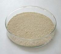 L - L ysine HC L  ( Feed  Grade)