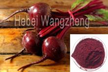 Red  Beet   Root   Extract   Beet  Red
