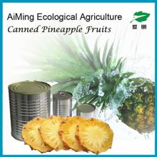  Tropical   fruit s  canned  pineapple slices in syrup