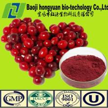 cranberry extract