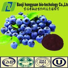 bilberry extract