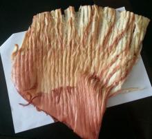 Dried squid wings fillet