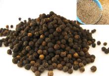Black Pepper Powder/Oil/ Raw   Material 