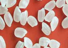 JAPONICA ROUND GRAIN RICE 5% BROKEN
