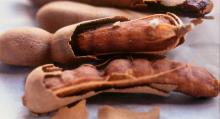 TAMARIND