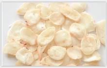 Dried squid tentacle