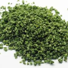 Fd Chives Chinese/European Variety