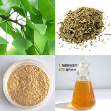 Ginkgo biloba extract
