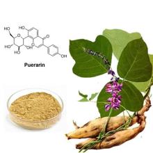  Pueraria   extract 