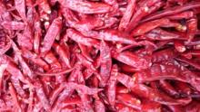  Dry   red   chilli 