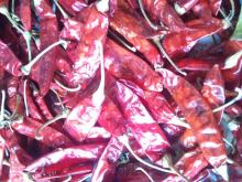 paprika spice