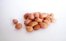 Groundnuts