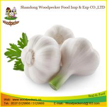 Chinese natural fresh garlic exporter