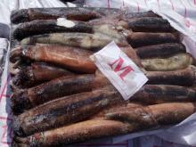 frozen whole round illex  argentina   squid  on sales