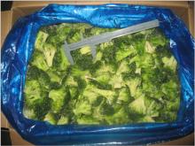IQF Broccoli