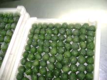 Frozen Spinach Leaf Ball